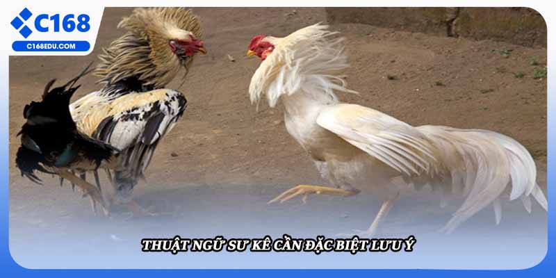 Thuật ngữ sư kê cần đặc biệt lưu ý 